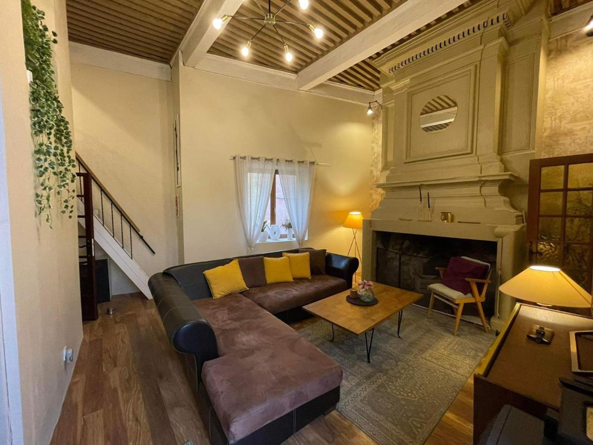 Apartamento "Maison Du Consul" Avec Terrasse - Centre Historique Narbona Exterior foto
